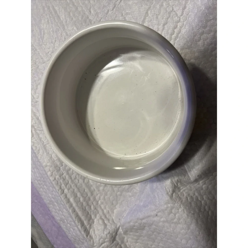 Bowl, Cat Food, Feline Design, Ceramic